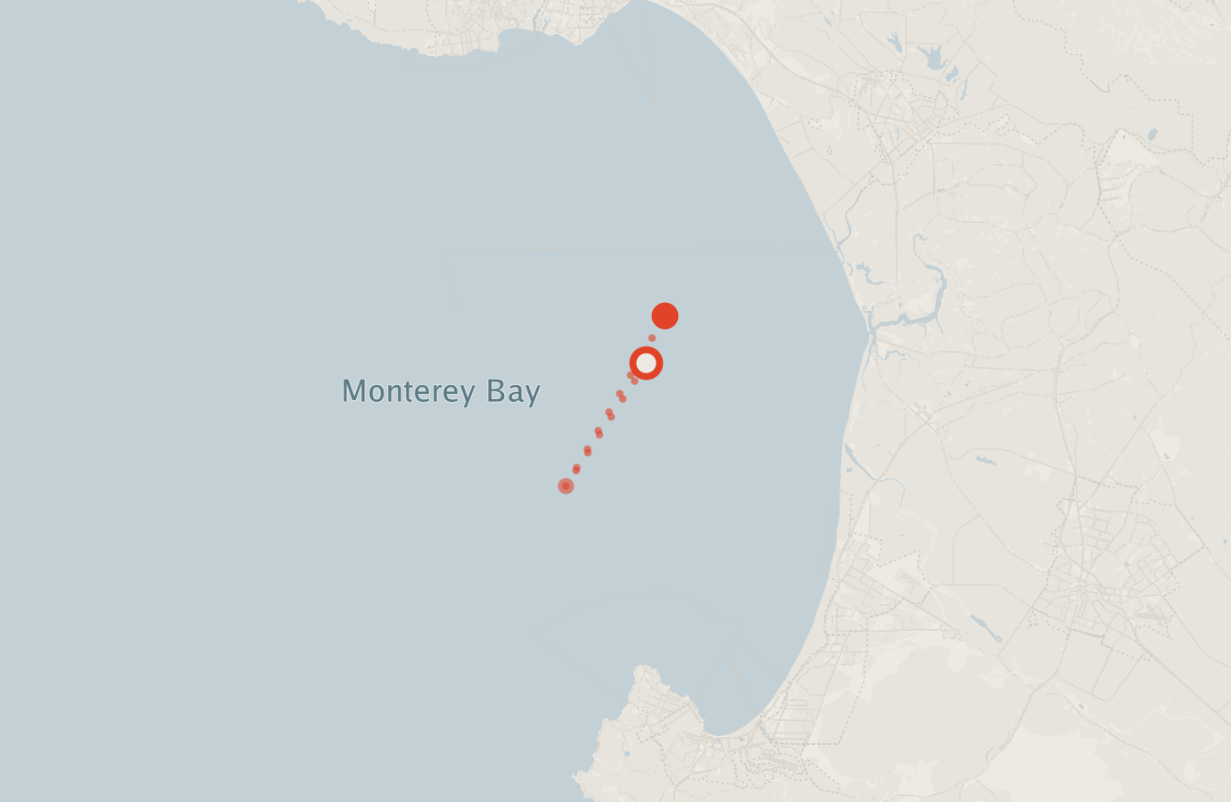 Activity map — real sighting points on an OpenStreetMap basemap