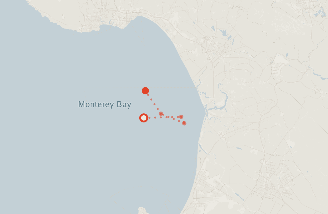 Activity map — real sighting points on an OpenStreetMap basemap