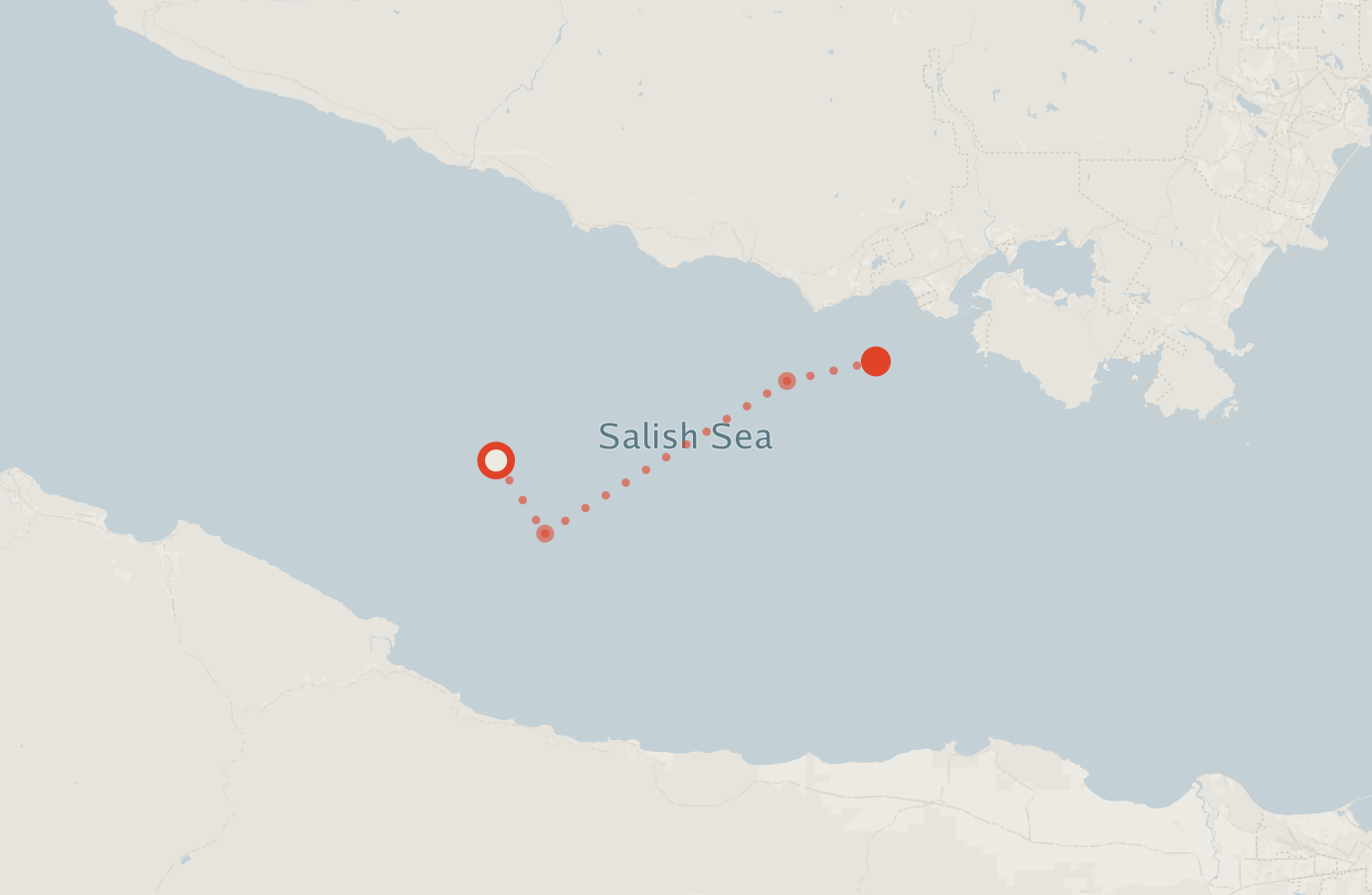 Activity map — real sighting points on an OpenStreetMap basemap
