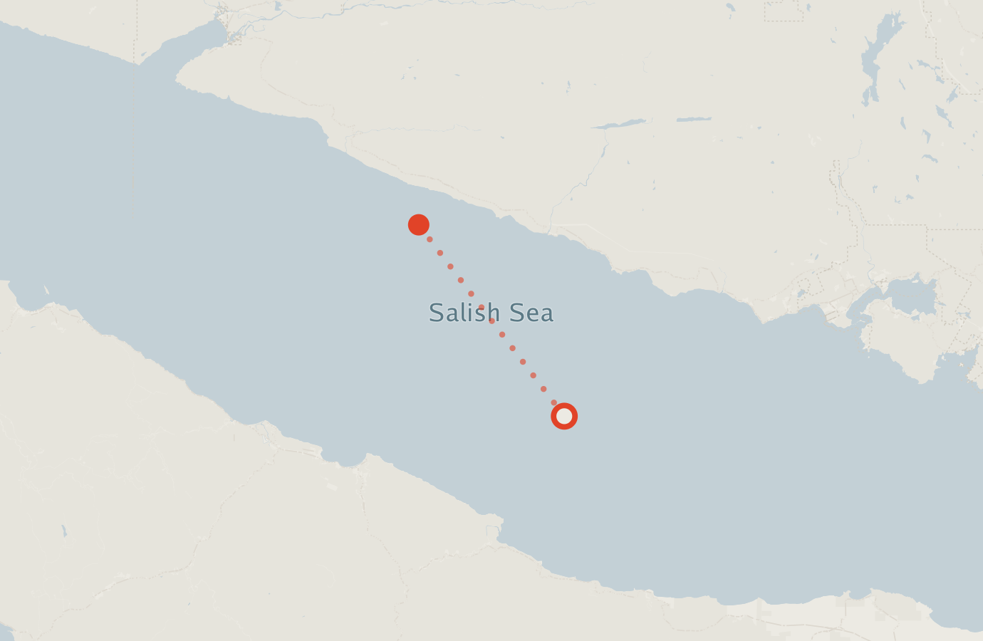 Activity map — real sighting points on an OpenStreetMap basemap