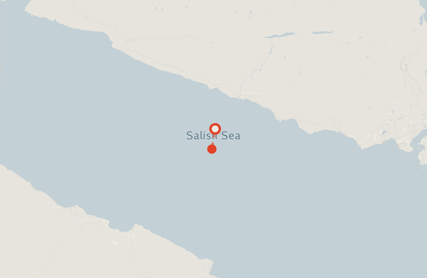 Activity map — real sighting points on an OpenStreetMap basemap