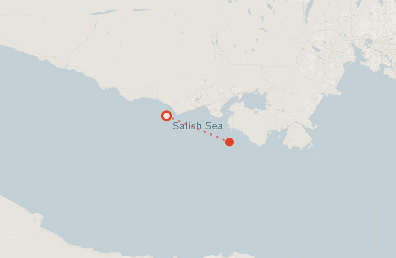 Activity map — real sighting points on an OpenStreetMap basemap
