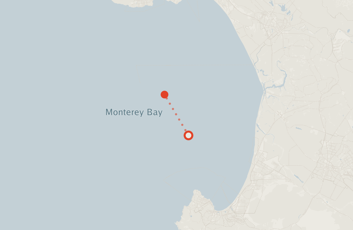 Activity map — real sighting points on an OpenStreetMap basemap