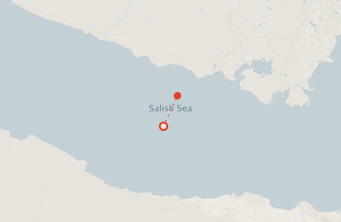 Activity map — real sighting points on an OpenStreetMap basemap