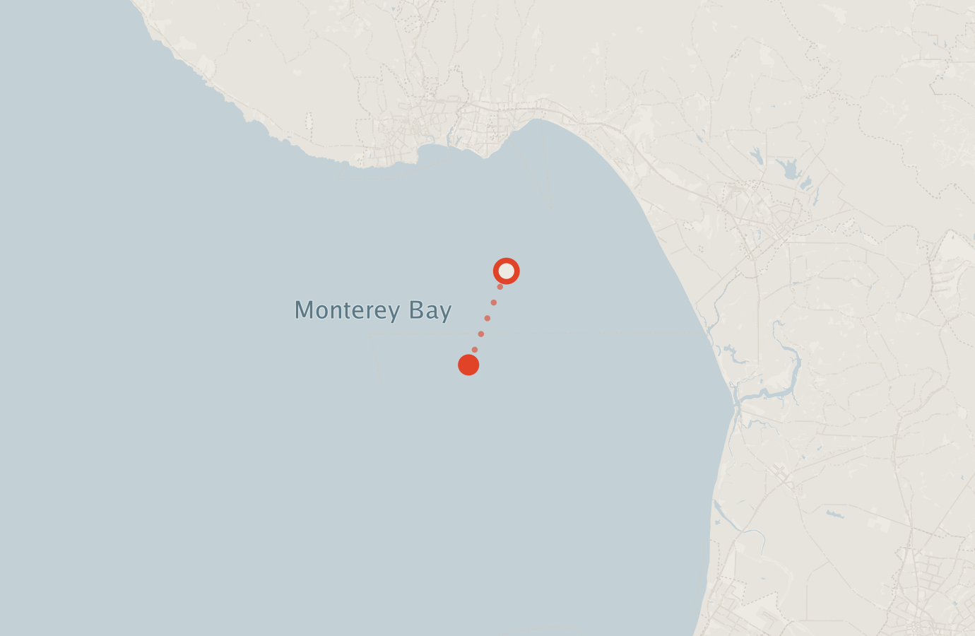 Activity map — real sighting points on an OpenStreetMap basemap