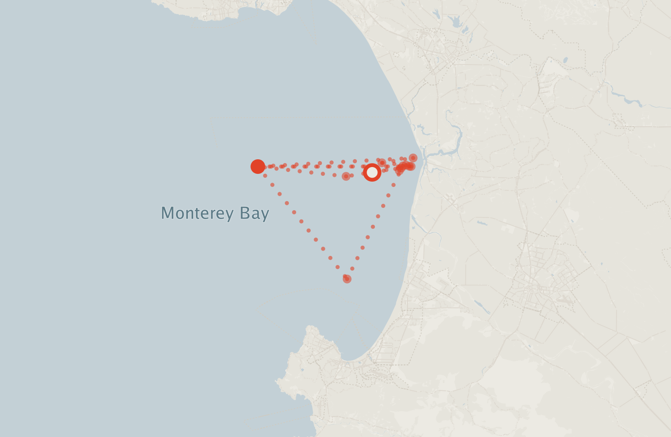 Activity map — real sighting points on an OpenStreetMap basemap