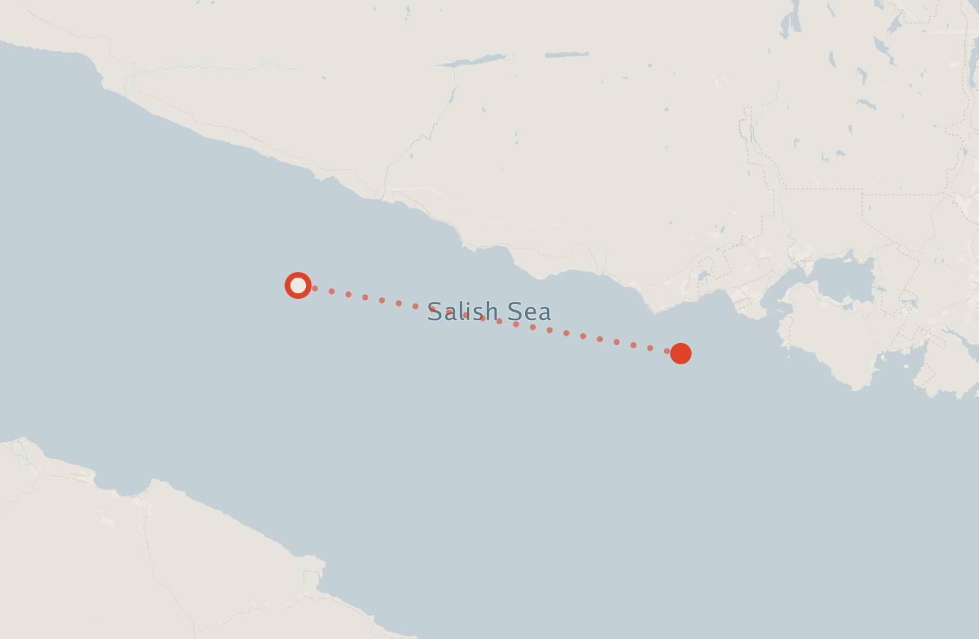 Activity map — real sighting points on an OpenStreetMap basemap
