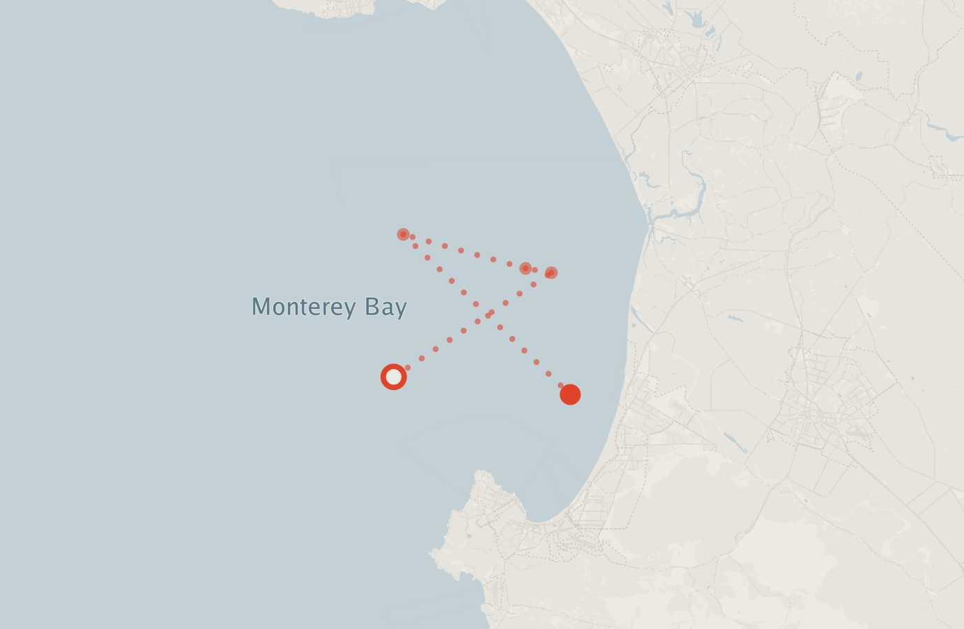 Activity map — real sighting points on an OpenStreetMap basemap