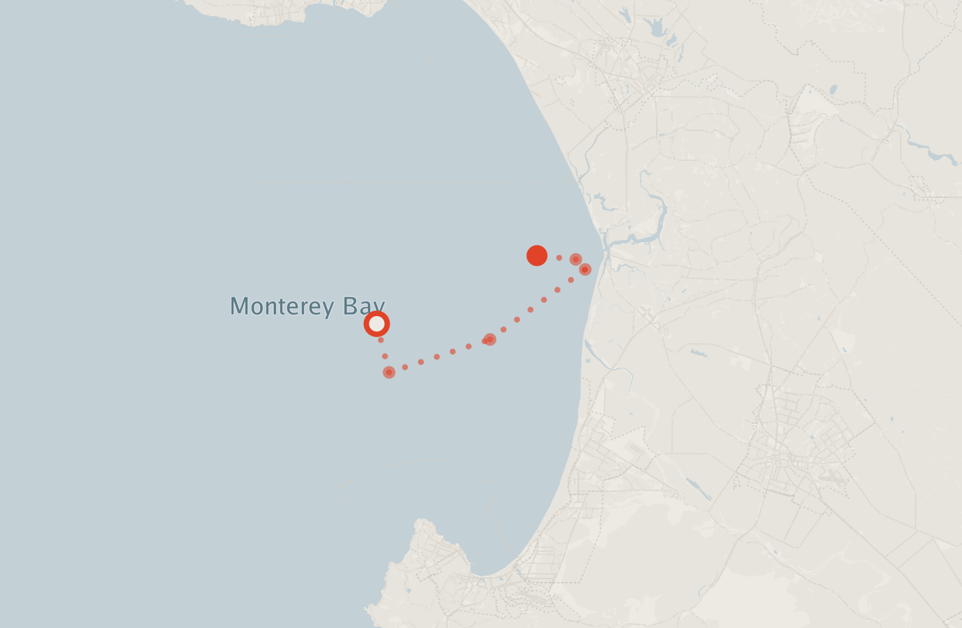 Activity map — real sighting points on an OpenStreetMap basemap