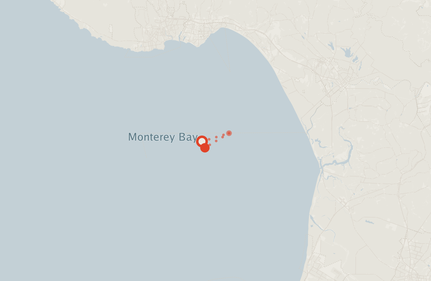 Activity map — real sighting points on an OpenStreetMap basemap