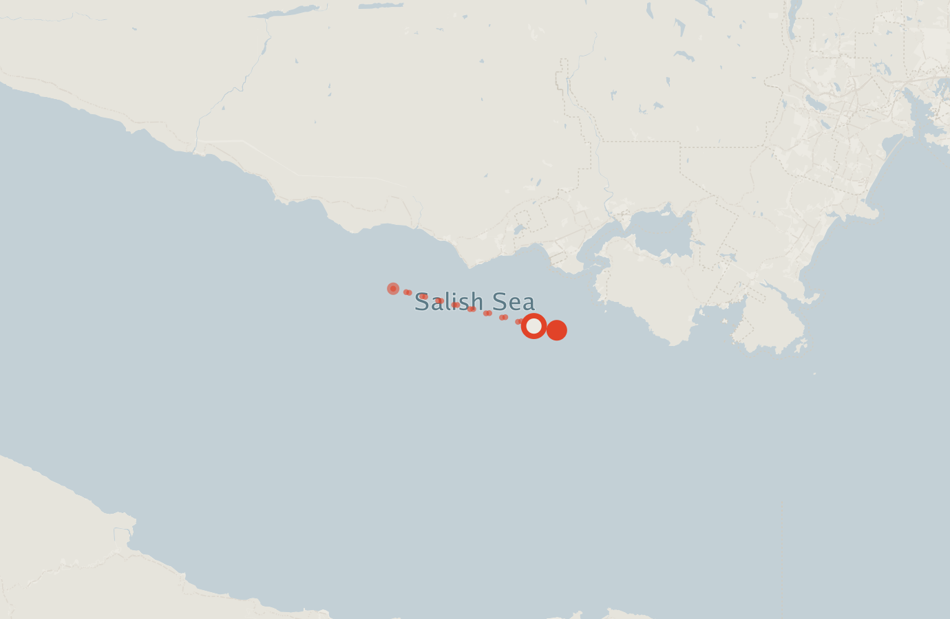 Activity map — real sighting points on an OpenStreetMap basemap