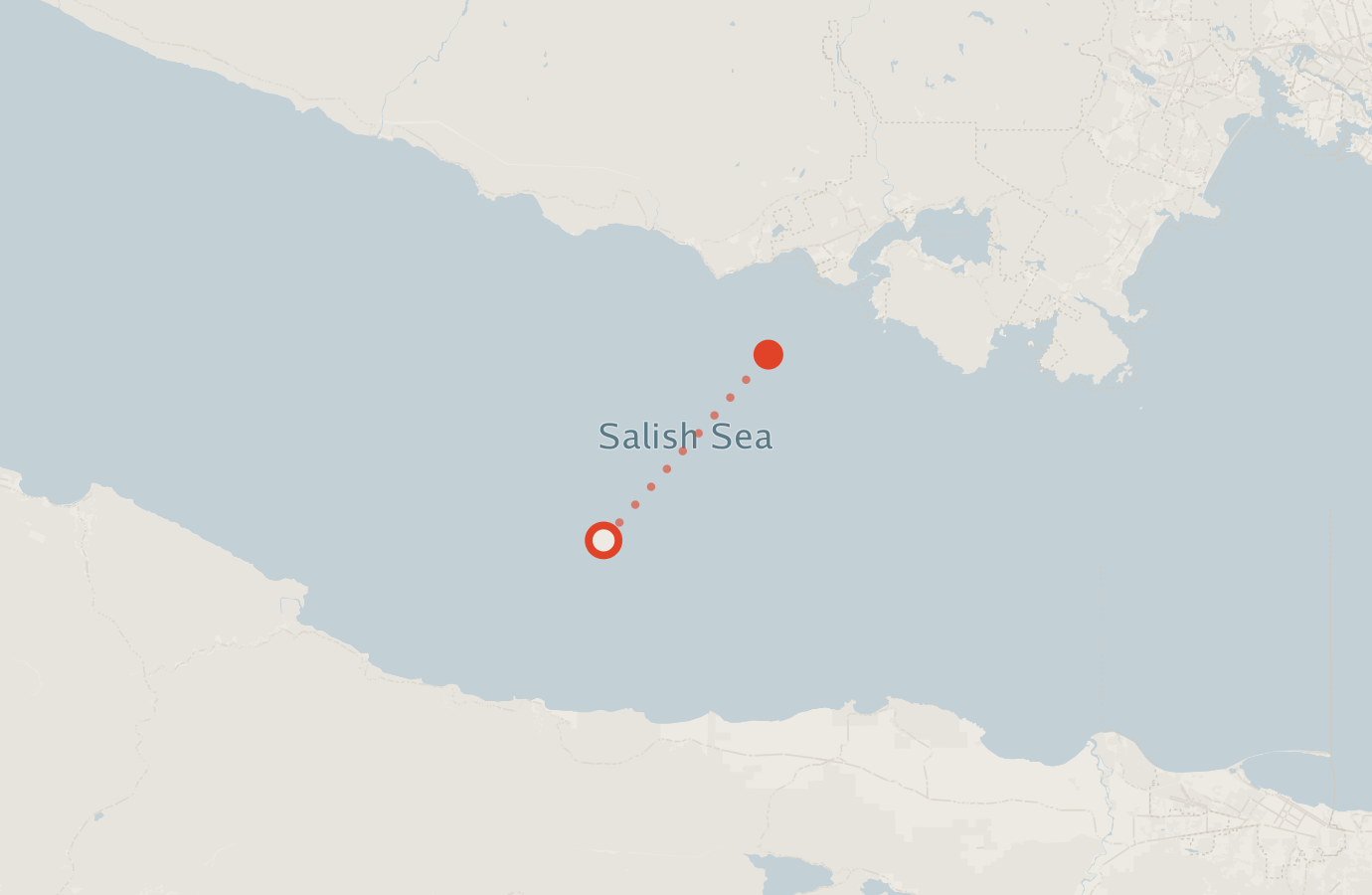 Activity map — real sighting points on an OpenStreetMap basemap