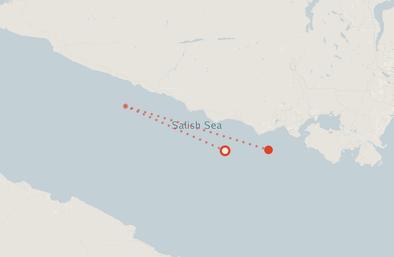 Activity map — real sighting points on an OpenStreetMap basemap