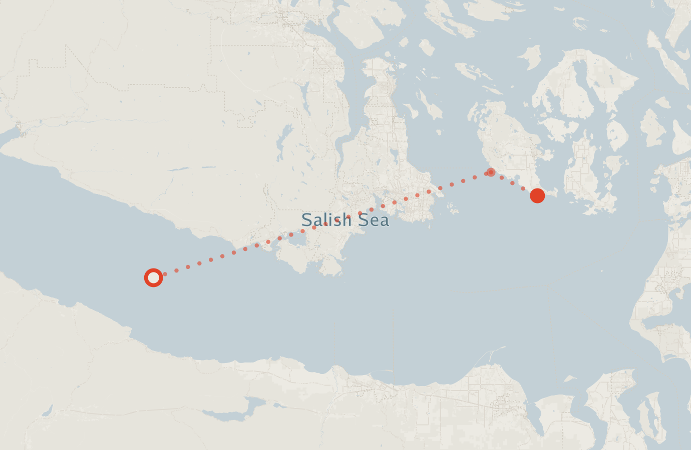 Activity map — real sighting points on an OpenStreetMap basemap