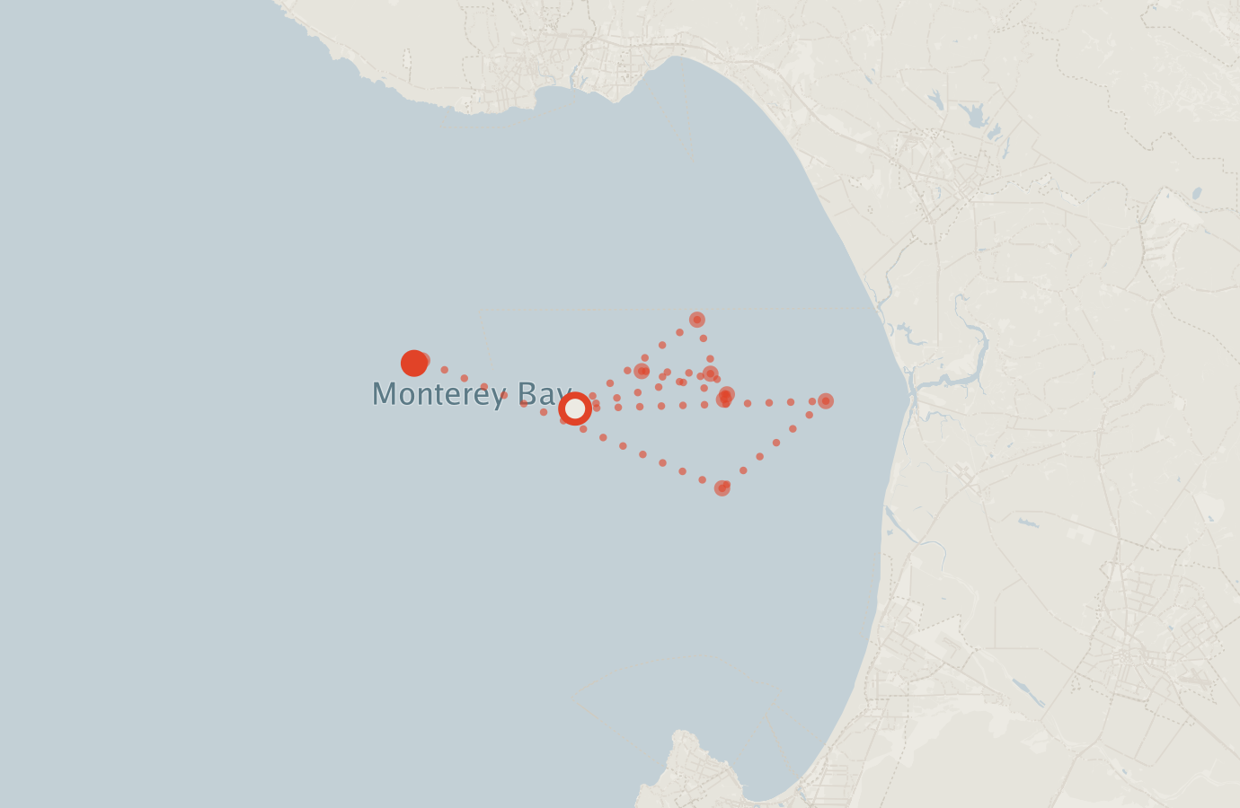 Activity map — real sighting points on an OpenStreetMap basemap