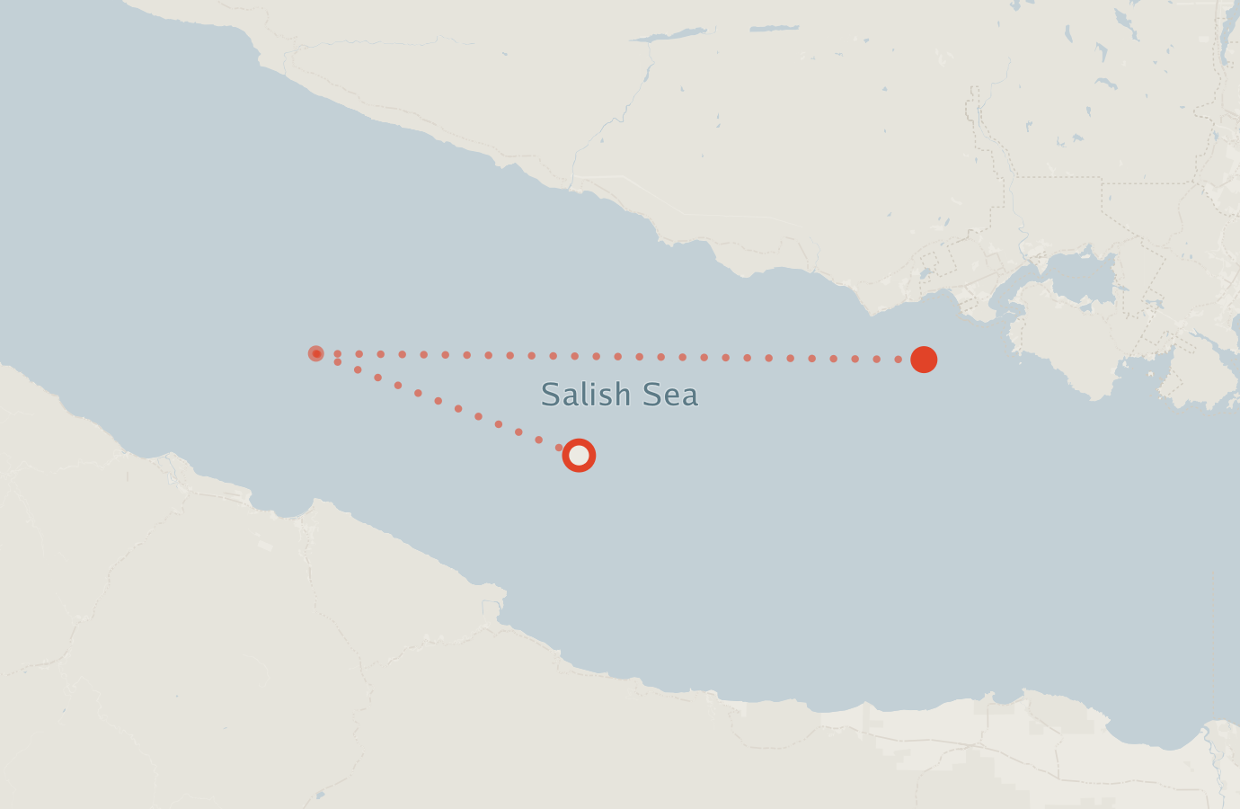 Activity map — real sighting points on an OpenStreetMap basemap