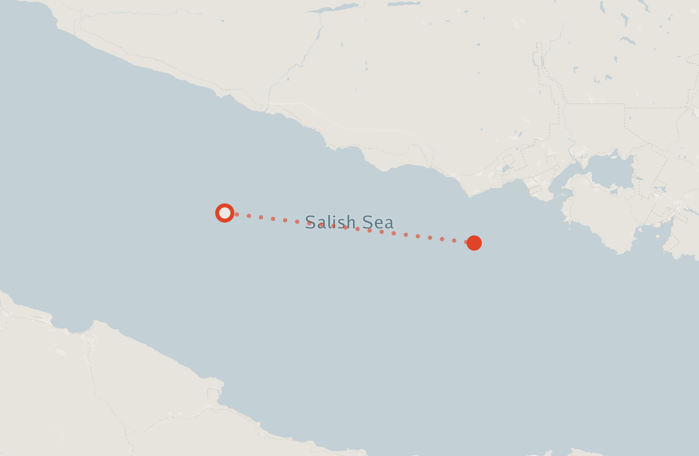 Activity map — real sighting points on an OpenStreetMap basemap