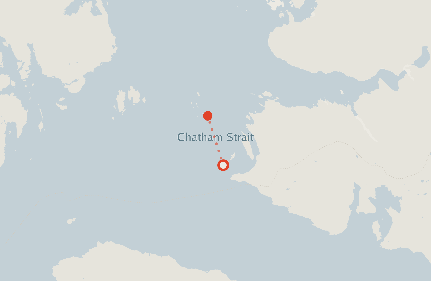 Activity map — real sighting points on an OpenStreetMap basemap