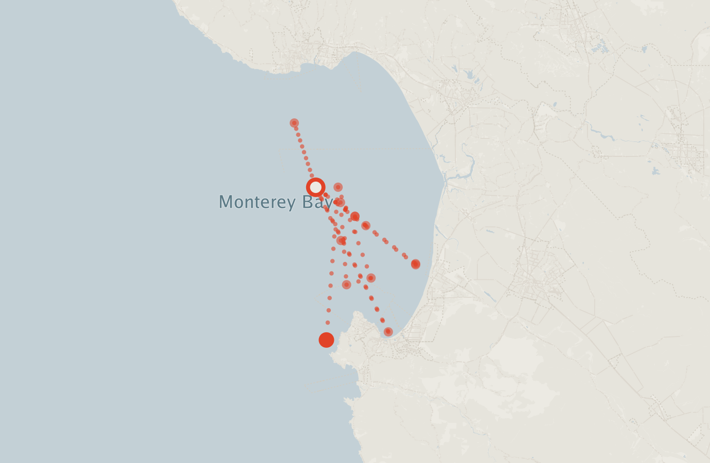 Activity map — real sighting points on an OpenStreetMap basemap