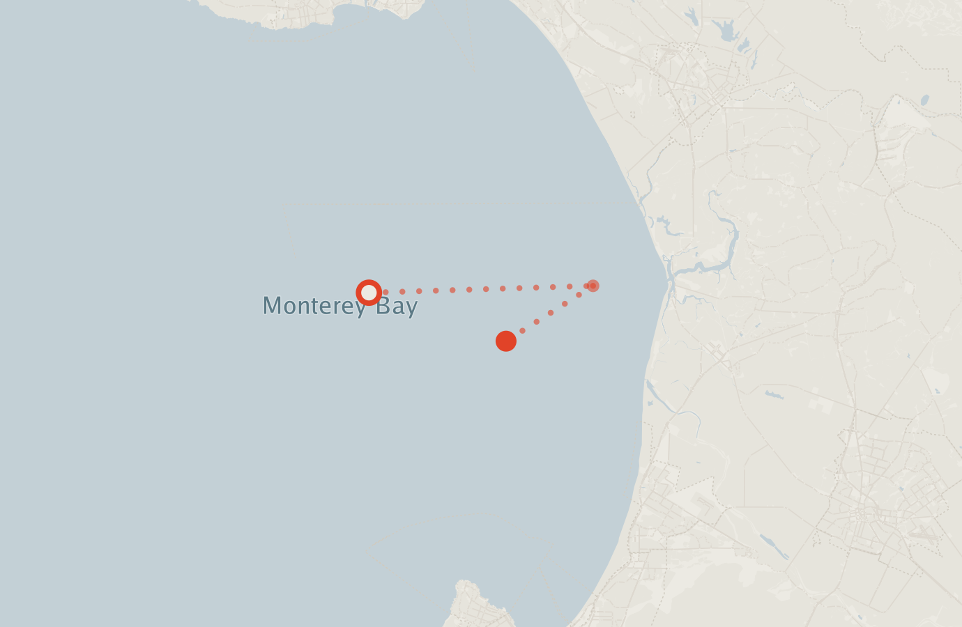 Activity map — real sighting points on an OpenStreetMap basemap