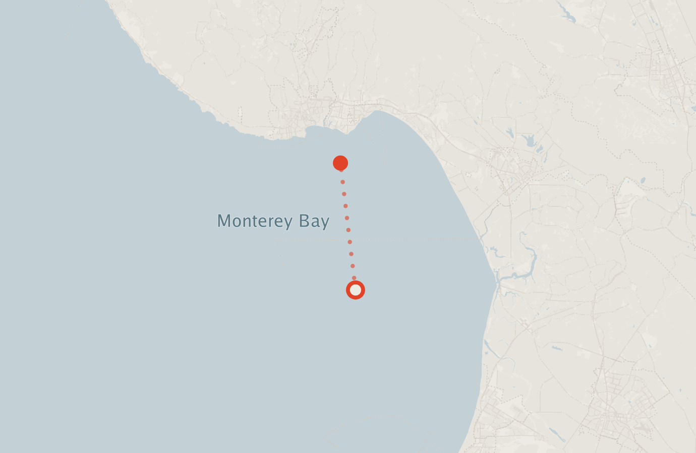 Activity map — real sighting points on an OpenStreetMap basemap