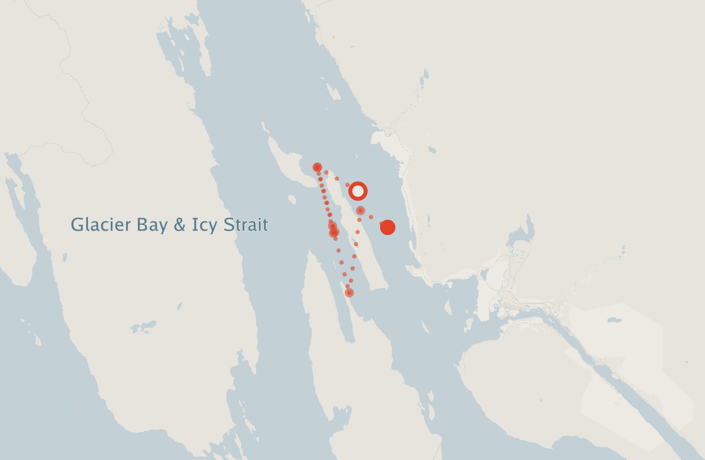 Activity map — real sighting points on an OpenStreetMap basemap