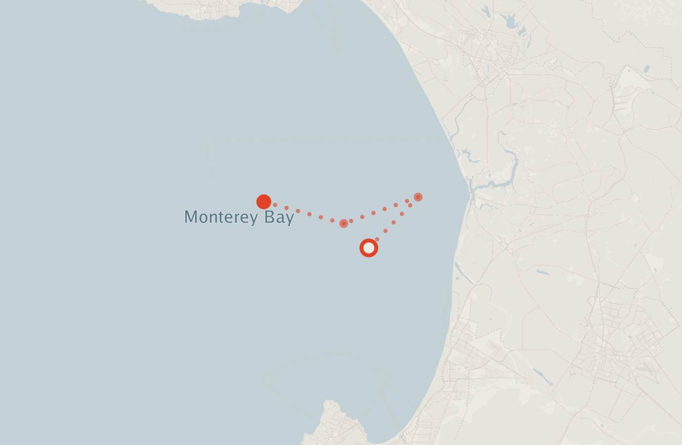 Activity map — real sighting points on an OpenStreetMap basemap