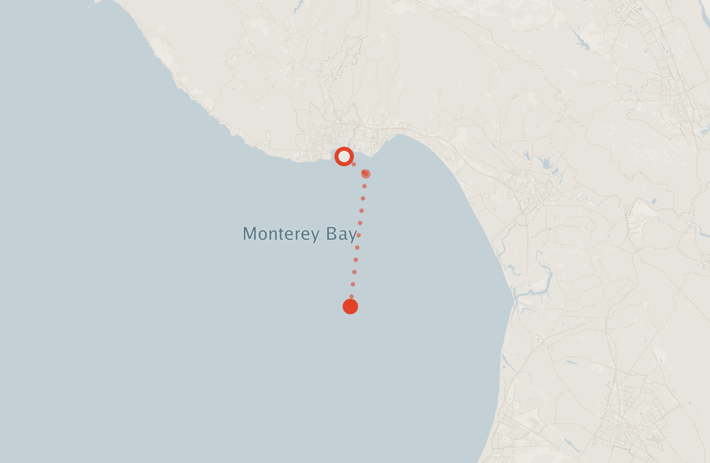 Activity map — real sighting points on an OpenStreetMap basemap