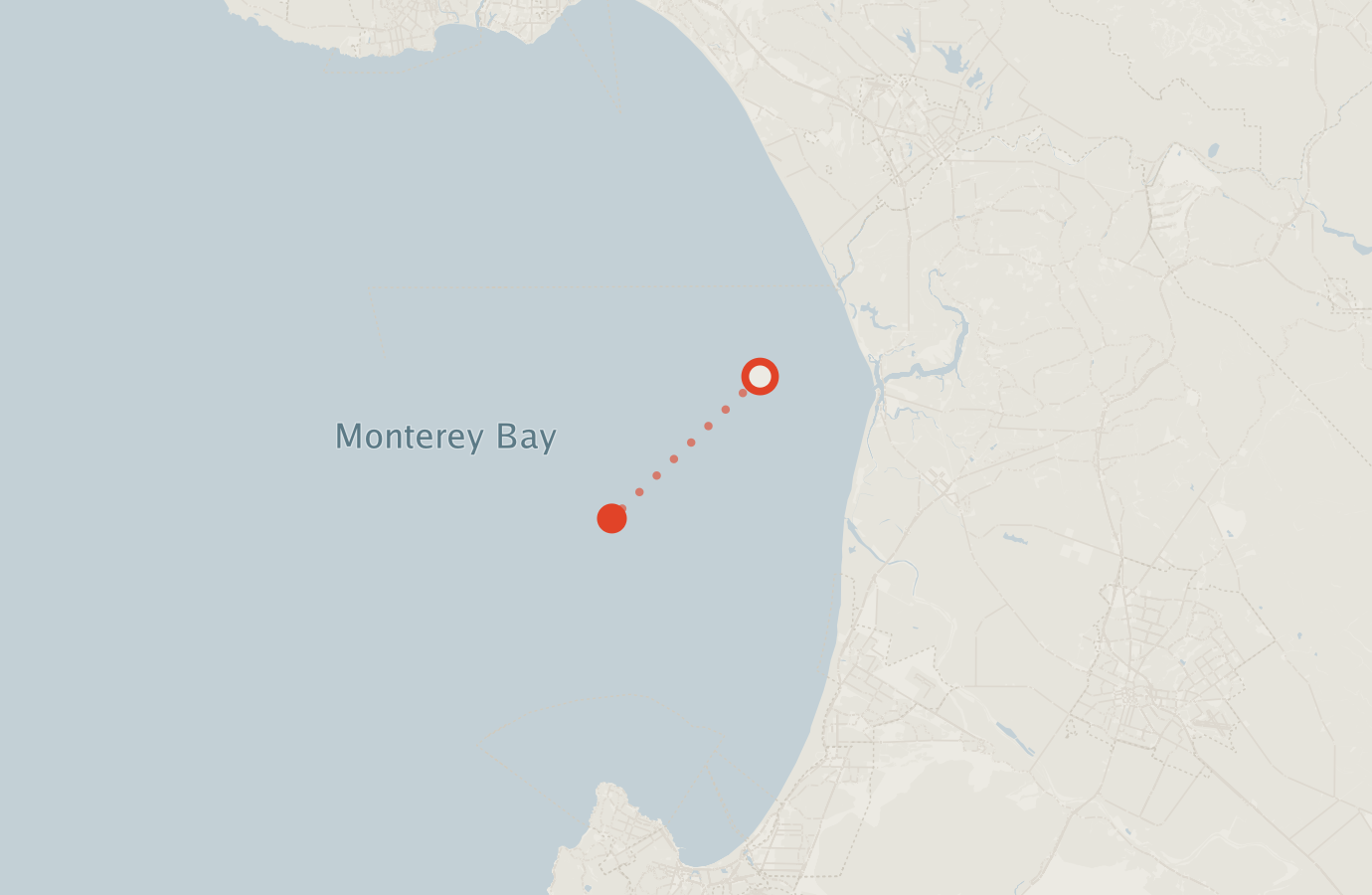 Activity map — real sighting points on an OpenStreetMap basemap