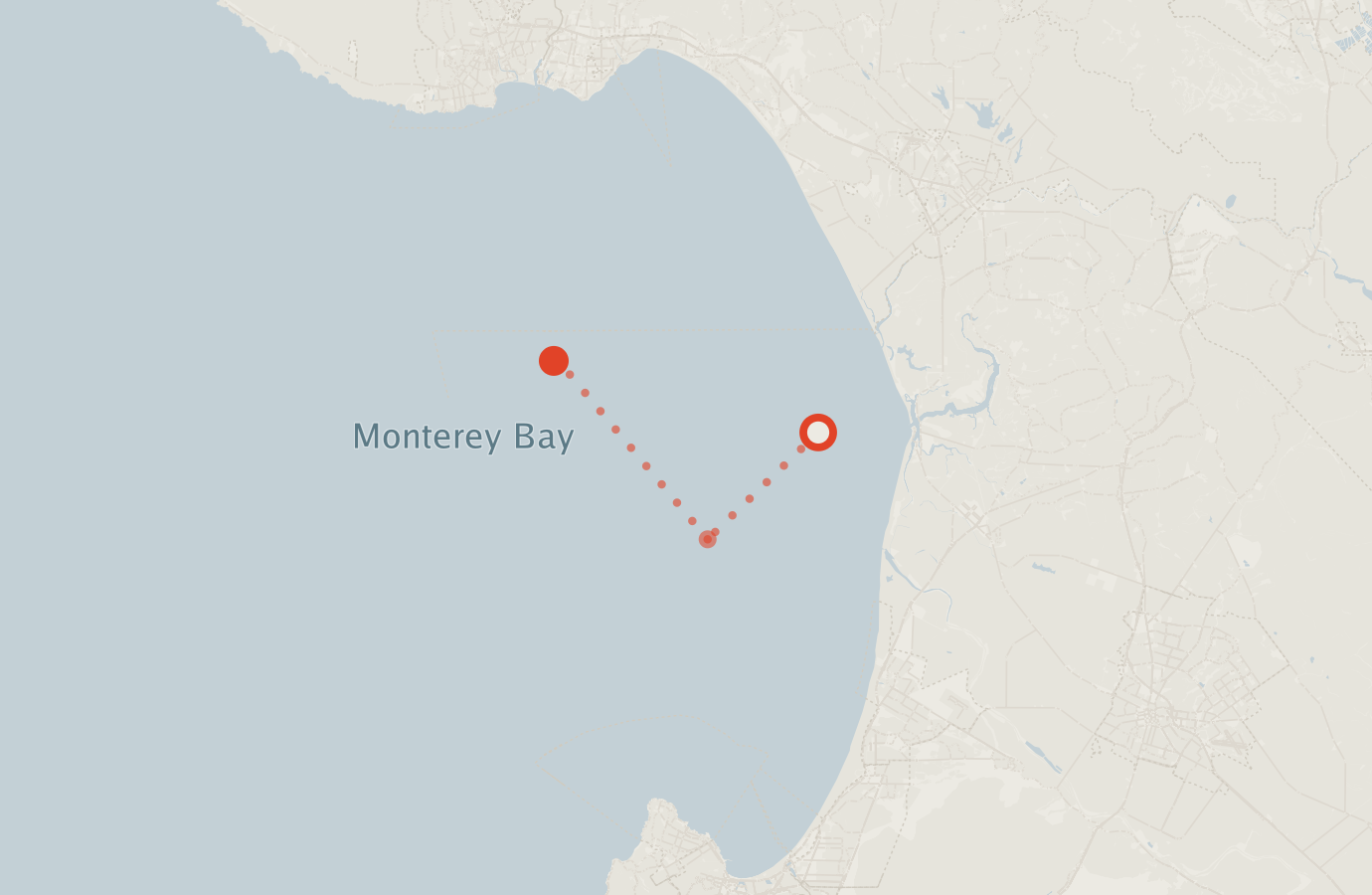 Activity map — real sighting points on an OpenStreetMap basemap