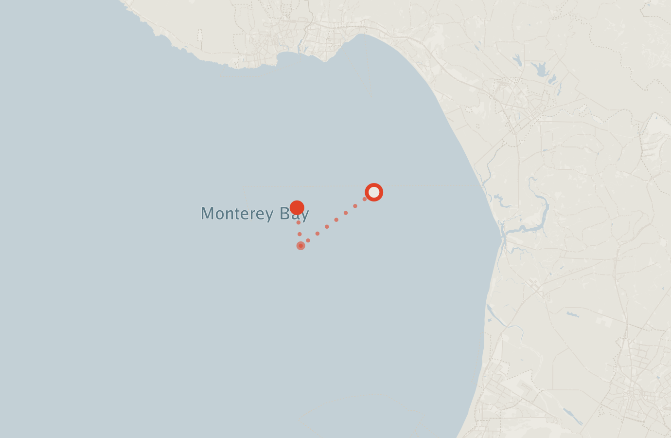 Activity map — real sighting points on an OpenStreetMap basemap