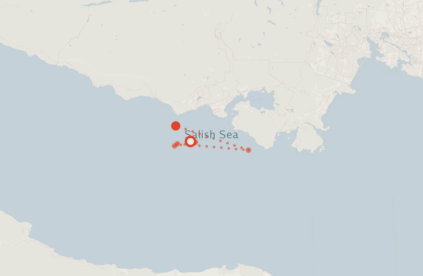 Activity map — real sighting points on an OpenStreetMap basemap
