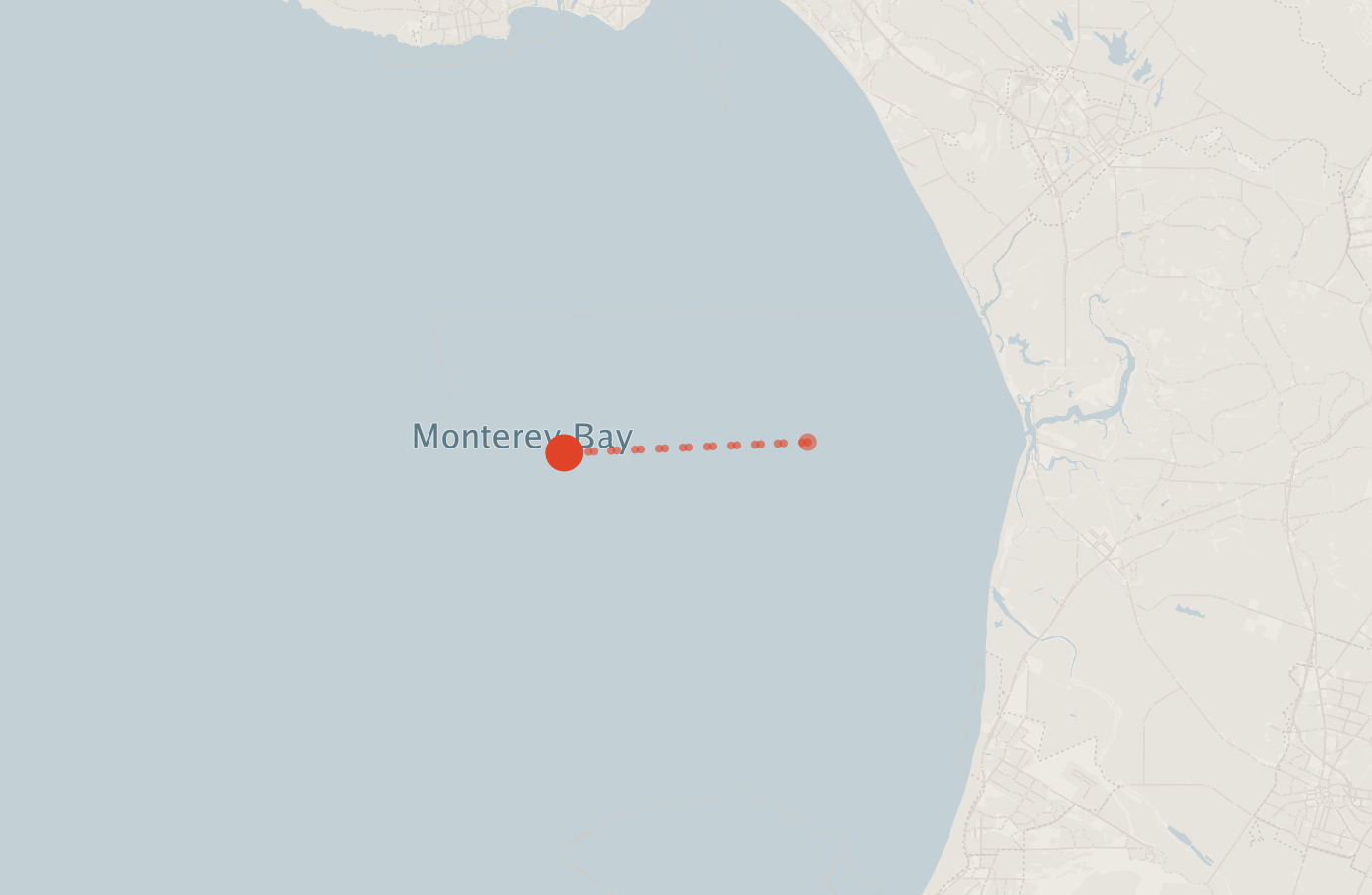 Activity map — real sighting points on an OpenStreetMap basemap