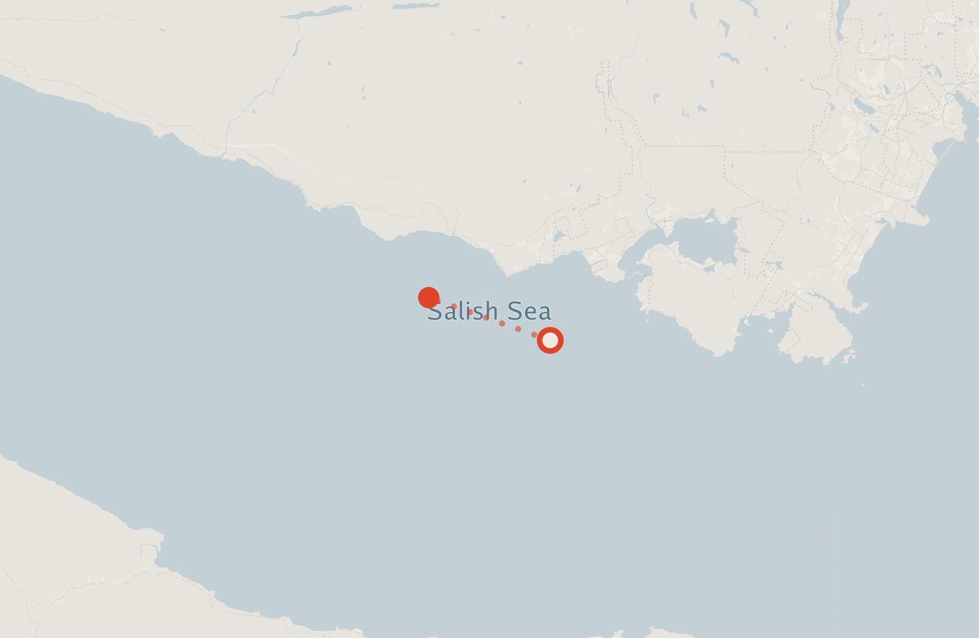 Activity map — real sighting points on an OpenStreetMap basemap