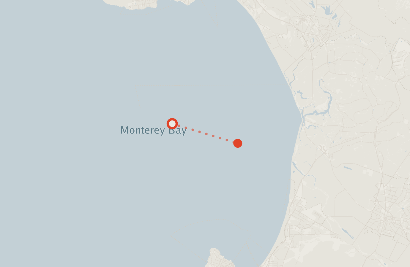 Activity map — real sighting points on an OpenStreetMap basemap