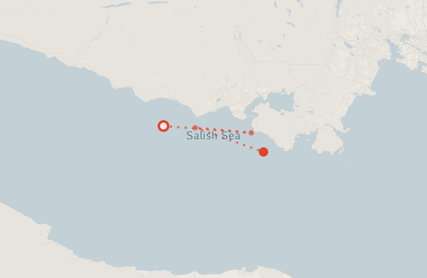 Activity map — real sighting points on an OpenStreetMap basemap