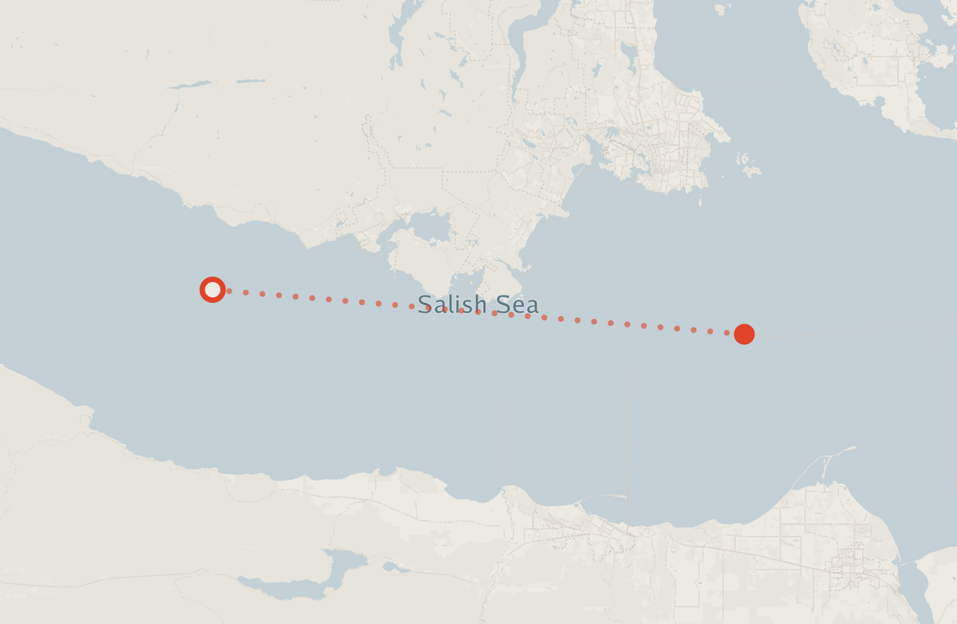 Activity map — real sighting points on an OpenStreetMap basemap