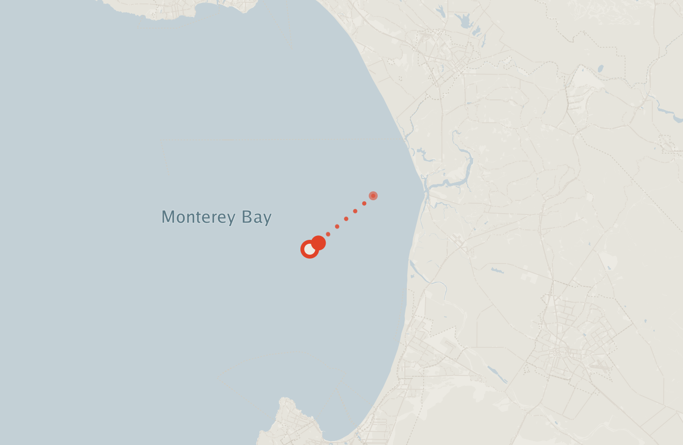 Activity map — real sighting points on an OpenStreetMap basemap