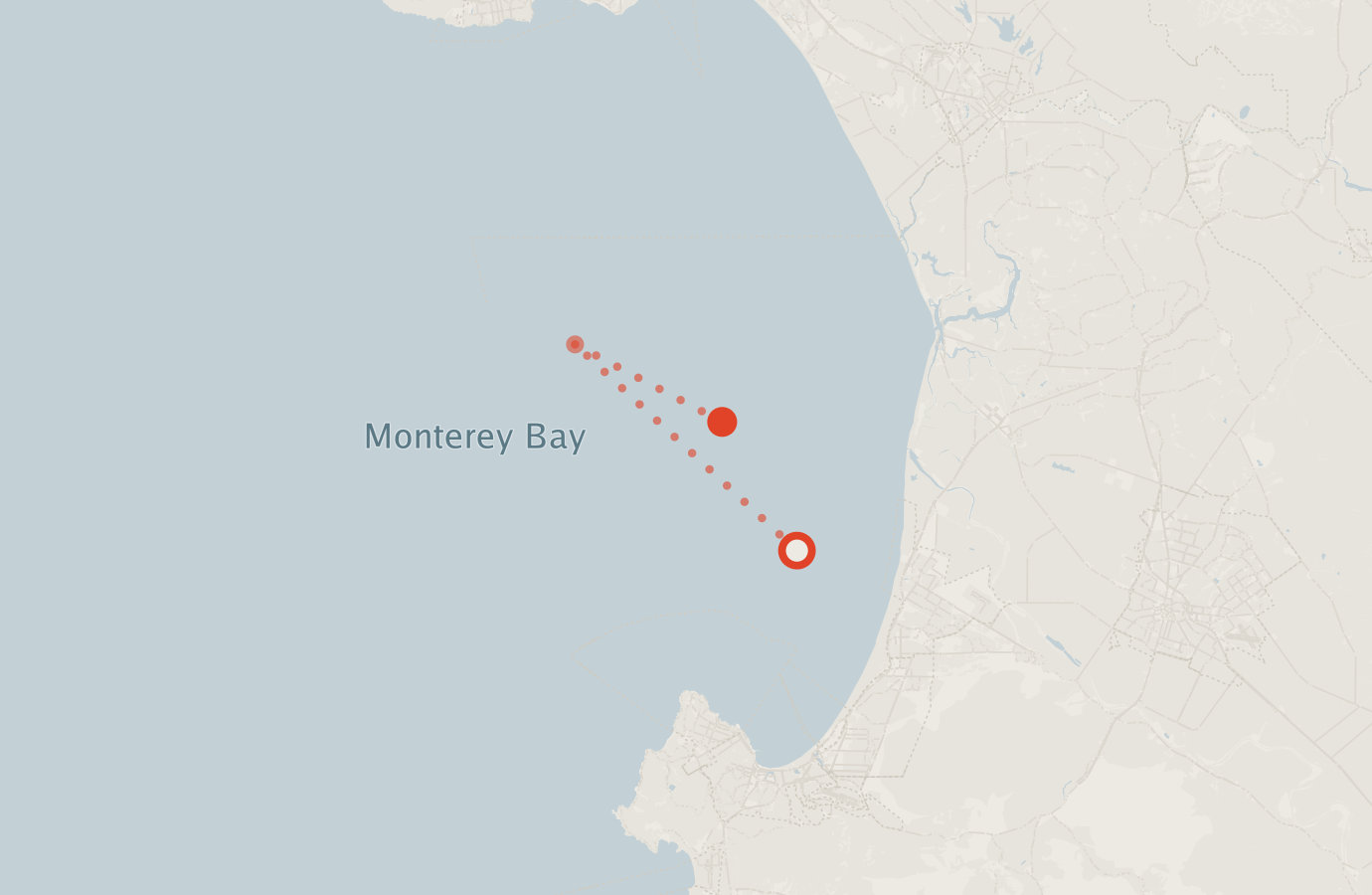 Activity map — real sighting points on an OpenStreetMap basemap