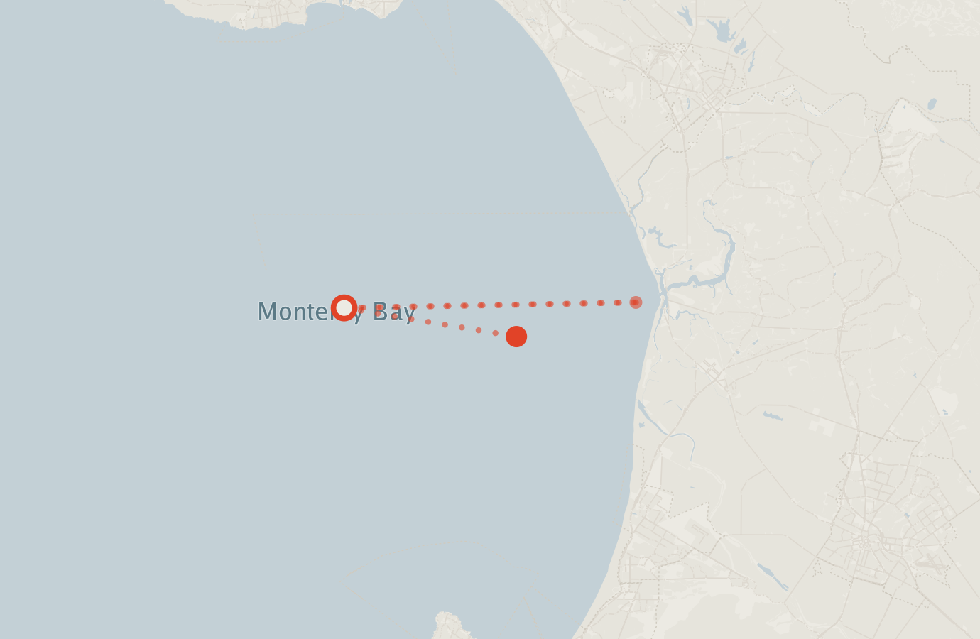 Activity map — real sighting points on an OpenStreetMap basemap