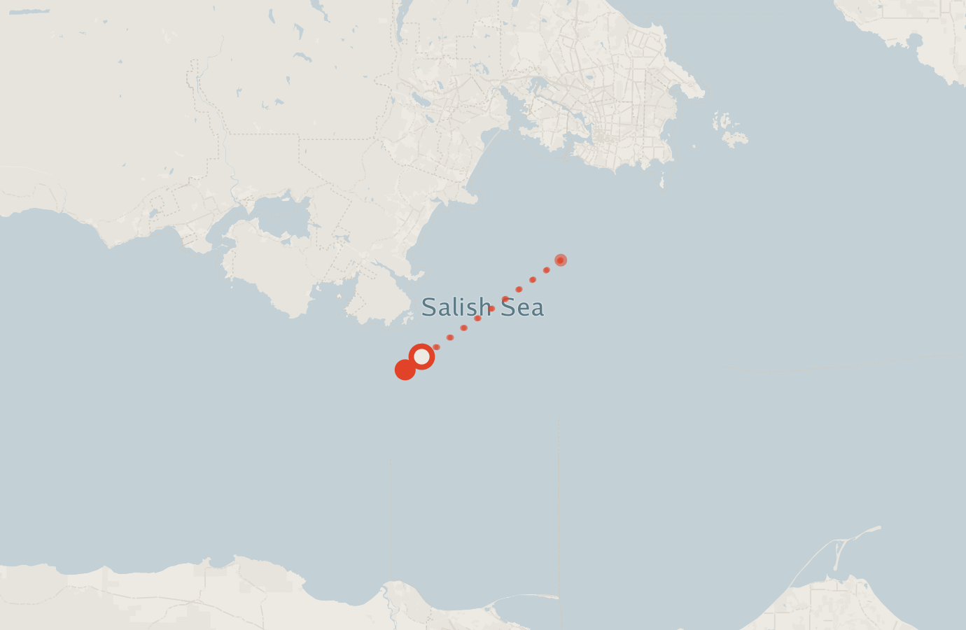 Activity map — real sighting points on an OpenStreetMap basemap