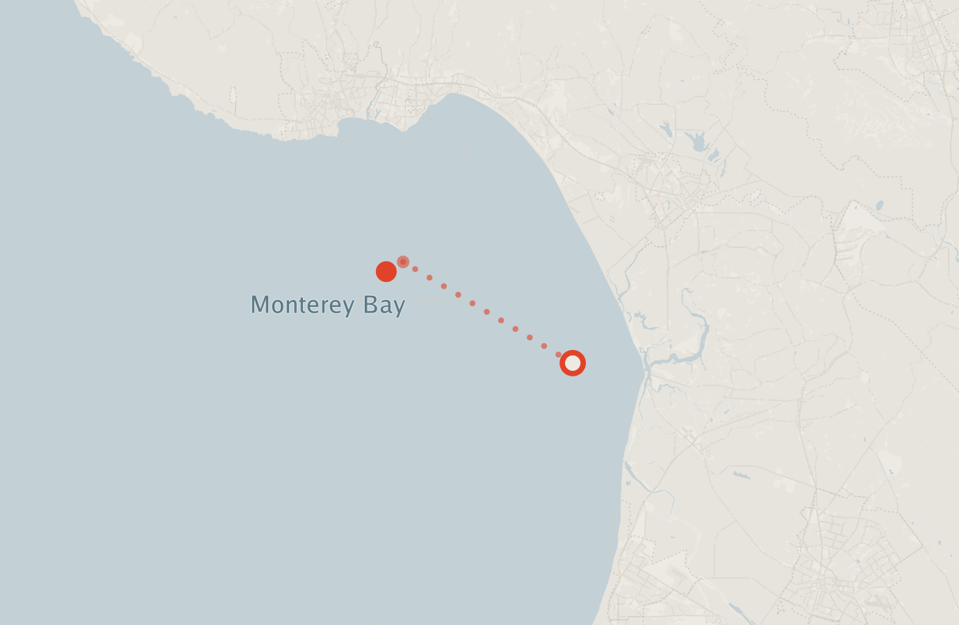 Activity map — real sighting points on an OpenStreetMap basemap