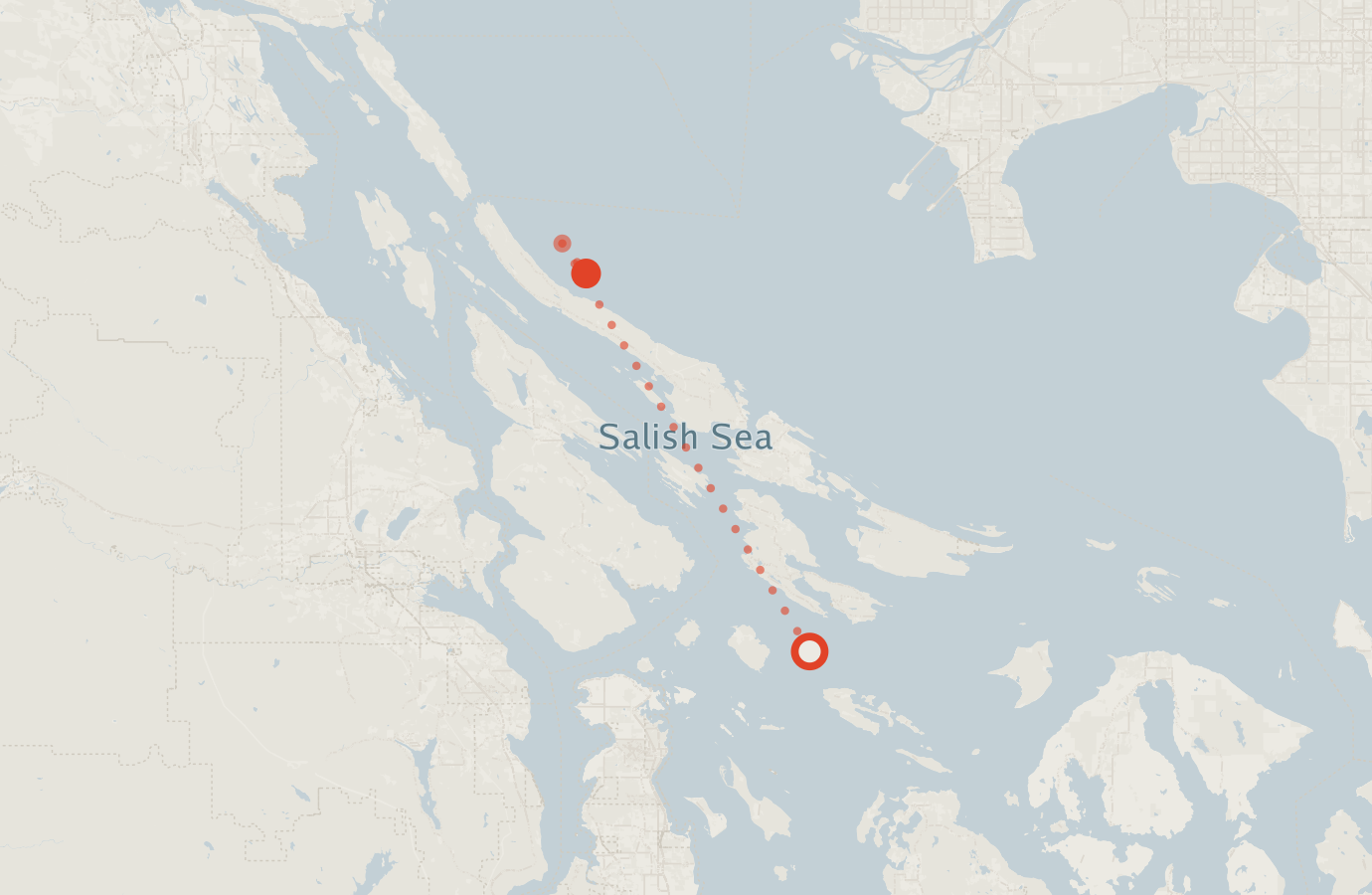 Activity map — real sighting points on an OpenStreetMap basemap
