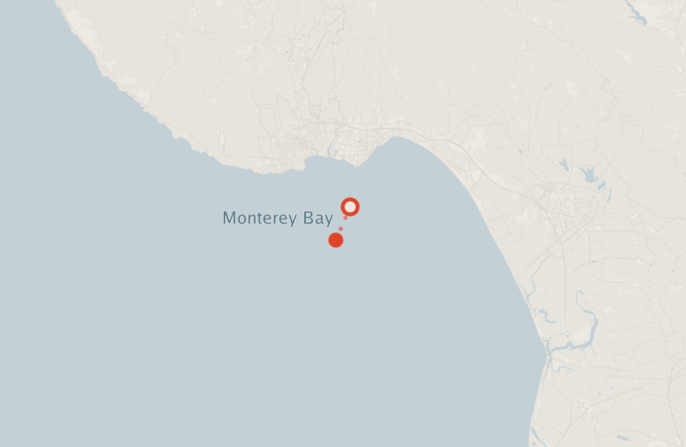 Activity map — real sighting points on an OpenStreetMap basemap