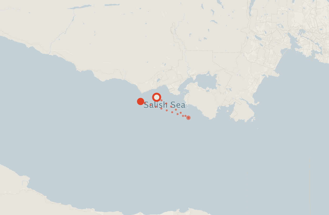 Activity map — real sighting points on an OpenStreetMap basemap