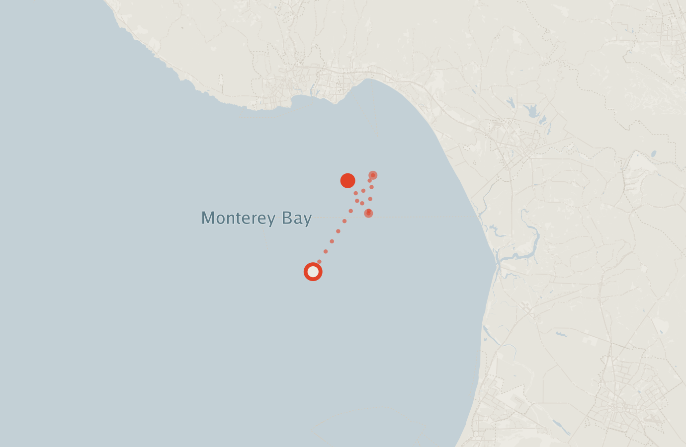 Activity map — real sighting points on an OpenStreetMap basemap