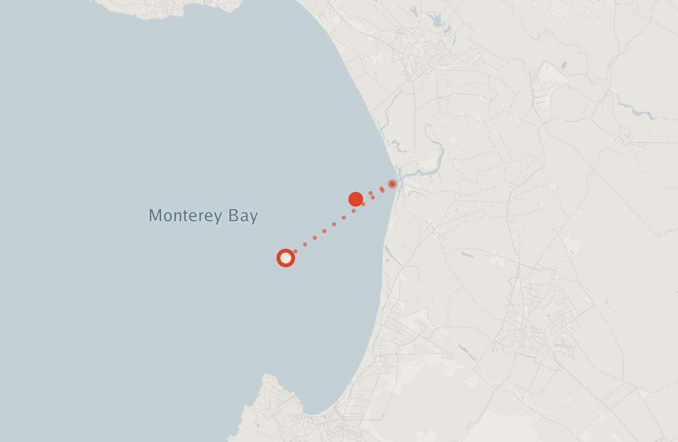 Activity map — real sighting points on an OpenStreetMap basemap