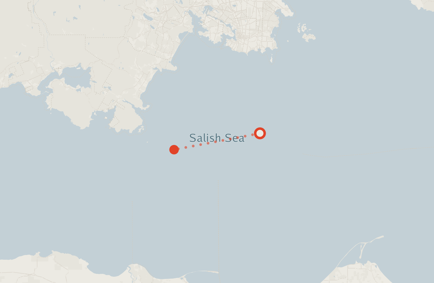 Activity map — real sighting points on an OpenStreetMap basemap