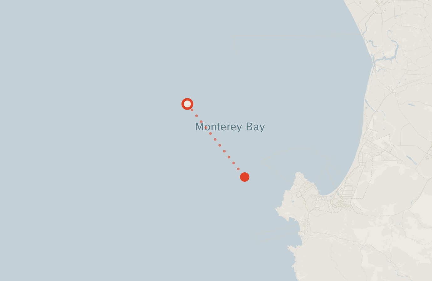 Activity map — real sighting points on an OpenStreetMap basemap