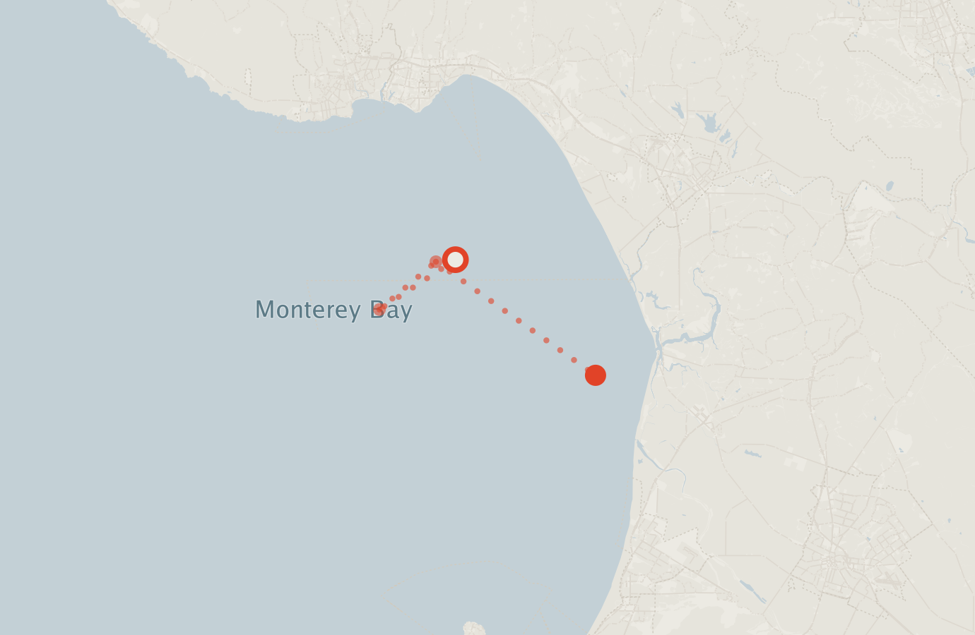Activity map — real sighting points on an OpenStreetMap basemap